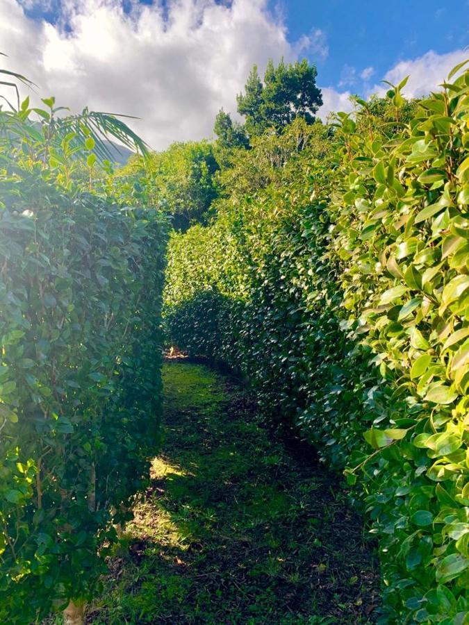 Ninho Das Cagarras Santo Amaro  Esterno foto
