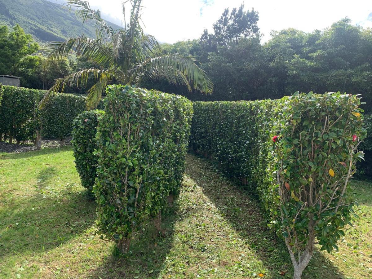 Ninho Das Cagarras Santo Amaro  Esterno foto