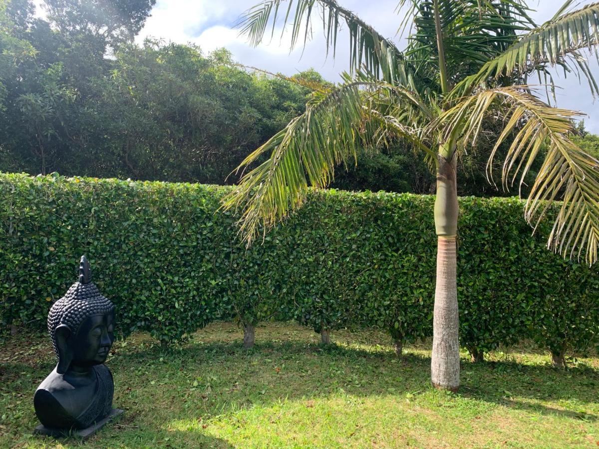 Ninho Das Cagarras Santo Amaro  Esterno foto